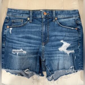Universal Thread Distressed Denim Shorts